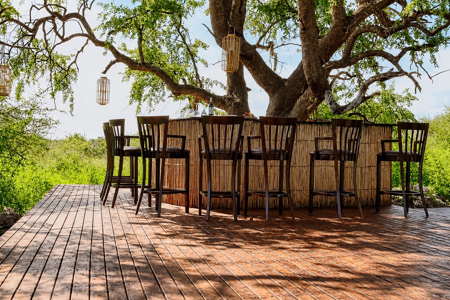 Open-air dining table beneath a large Kalahari tree